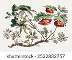 Flower Bough, "Recueil de Fleurs Chinois" by Jean-Baptiste Pillement (1728-1808). Flower illustration. Vintage floral botanical art drawing illustration, old painting art print of floral flower.