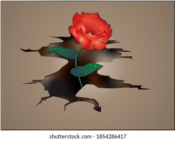 Flower Breaking Through An Aperture In A Rock