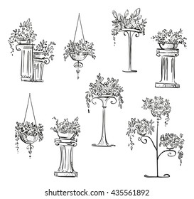 Flower Decorations Sketch