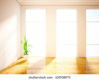 flower in the empty room