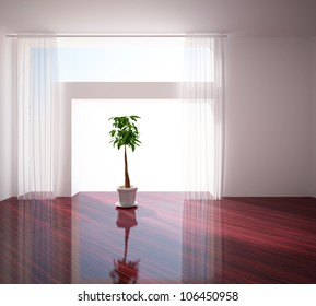 flower in the empty room