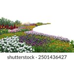 flower garden tree plant on white background with clipping path, 3d illustration, 3d rendering