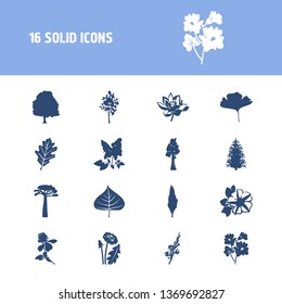 Flower Icon Set And Clover Flower With Baobab, Lotus And Oak Leaf. Redwood Related Flower Icon  For Web UI Logo Design.