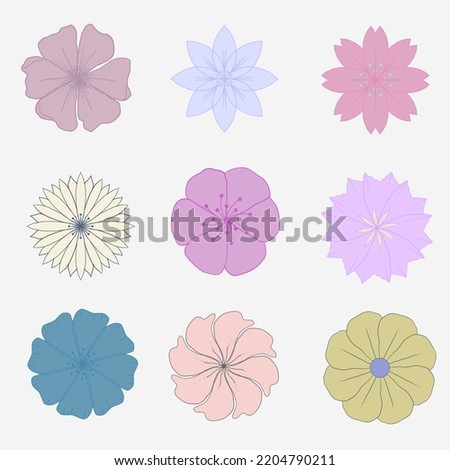 Flower icons set. Collection of flowers. Illustration white background. Decoration of flowers. Set of flowers. Colorful flowers.