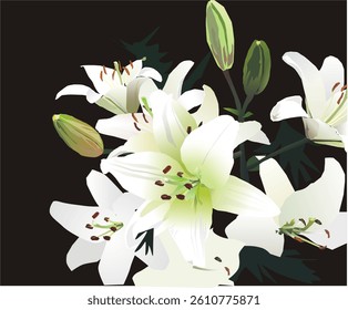 The flower language of the fragrant lily includes great love, everlasting love, eternal beauty, mutual understanding, honor and victory, wealth and nobility, etc. It has the connotation of purity, hol