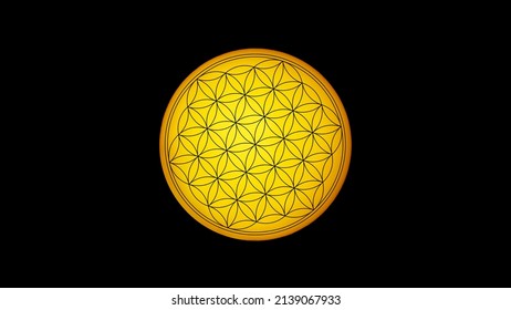 Flower Life Illustration Ancient Symbol Mandala Stock Illustration ...