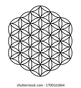 flower of life symbol without dark circles