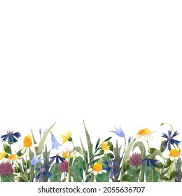 Flower Meadow, Wild Flowers At The Bottom, Footer Decorative Frame On White Background