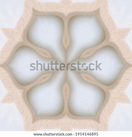 Flower pattern blossom color design with ornament and geometric concept