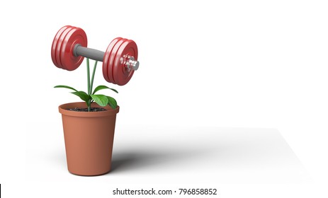 Flower Pot And Dumbbell 3D Rendering 3D Illustration