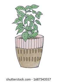 Flower Pot Ink Drawing Stock Illustration 1687343557 | Shutterstock