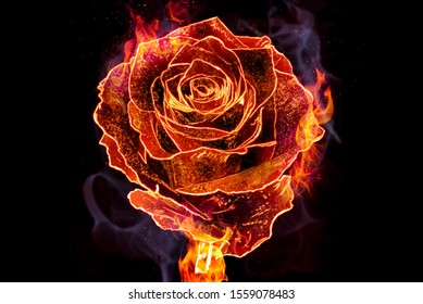 Flower rose in flames is on the black background. Happy Valentine's Day - Powered by Shutterstock