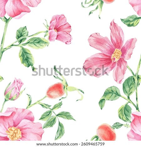 Flower seamless pattern Pink wild rose on stem with foliage watercolor illustration on white. Rosehip print hand drawn botanical sketch for printing on wallpaper, textile, tableware, wrapping paper