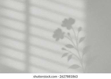 Flower Shadow Window Light Background