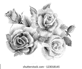 Featured image of post Pencil Shading Drawing Flowers - This is a popular way to draw, and today this article will show you how to do it.