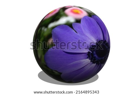 Flower texture in 3D circle