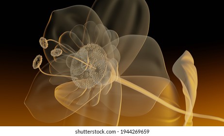 花 切り抜き の画像 写真素材 ベクター画像 Shutterstock