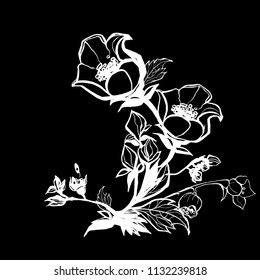 Flowering branch of jasmine. Black white graphics.