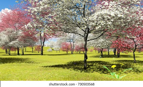 17,737 Dogwood tree Images, Stock Photos & Vectors | Shutterstock