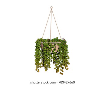 flowerpots 3D rendering
