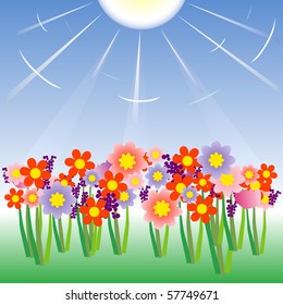 Flowers
