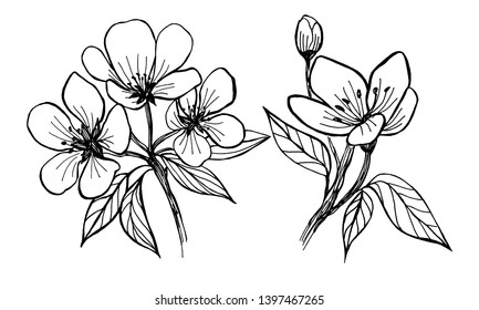 flower tattoo pictures