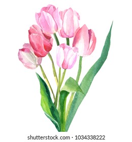 49,658 Tulipan acuarela Images, Stock Photos & Vectors | Shutterstock