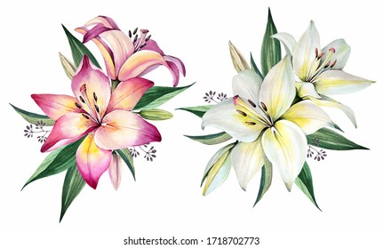 Flowers Bouquets. Watercolor Illustration. Lily