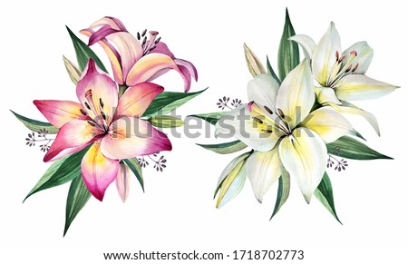 Flowers bouquets. Watercolor illustration. Lily