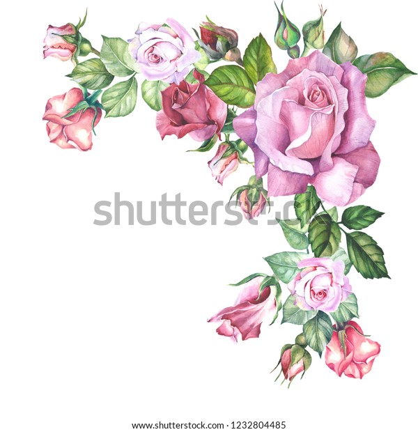 Flowers Corner Pink Roseswatercolor Stock Illustration 1232804485