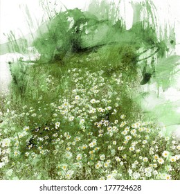 Flowers Daisies, Watercolor And Mixed Media Abstract Background