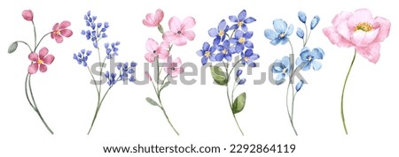 Flowers digital illustration, spring design, watercolor hand painting. Perfectly for printing, sublimation.