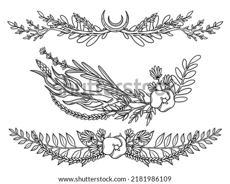 Flowers frames. Hand-drawn botanical set. Line-art. Floral composition. Vintage element. Wiccan and pagan art. Decorative nature. Isolated on white