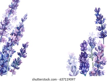 Flowers Lavender, Watercolor, With Space For Text