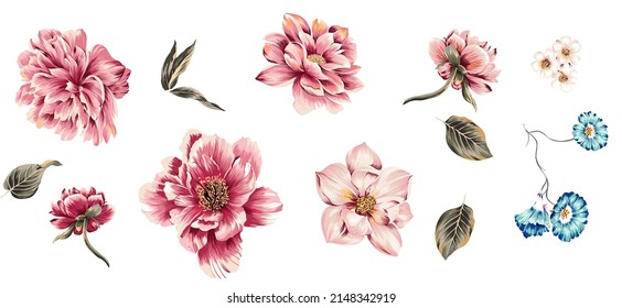 Flowers and leaves colorful set of isolated elements illustration. Peony, magnolia, poppy floral elements with vintage exotic leafs leaves.White color background. Suitable for texture.