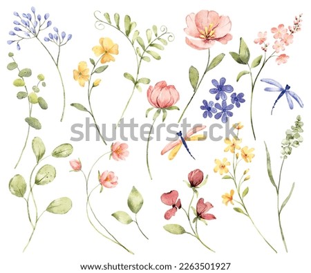 Flowers and leaves digital illustration, spring design, watercolor hand painting. Perfectly for printing, sublimation.