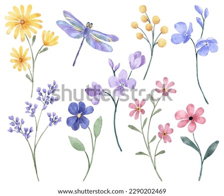 Flowers, leaves and dragonfly illustration, spring design, watercolor hand painting. Perfectly for printing, sublimation.