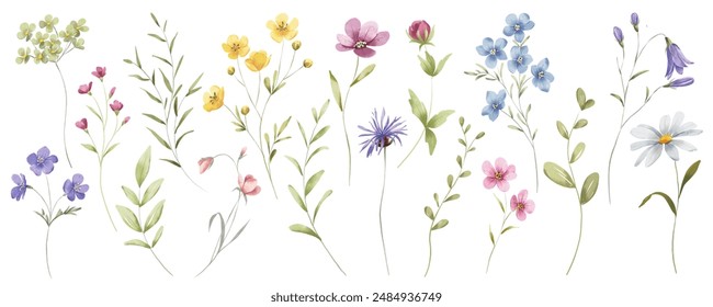 Flowers and leaves set, floral watercolor illustration for greeting card, invitation, digital design. Isolated on white. Hand drawing. - Powered by Shutterstock