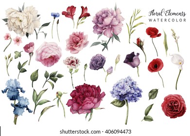 Flowers and leaves, watercolor, can be used as greeting card, invitation card for wedding, birthday and other holiday and  summer background.