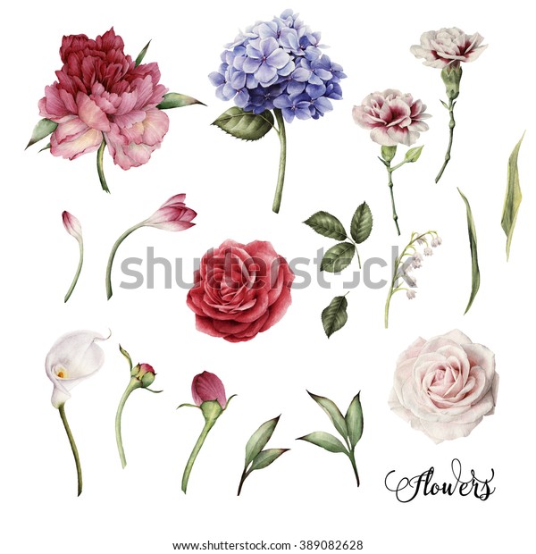 Stockillustration 389082628 Med Blommor Och Lov Akvarell Kan