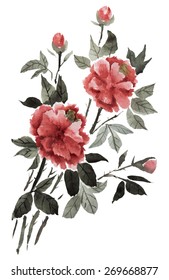 Dusty Pink Flowers Peonies Watercolor Floral Stock Illustration ...