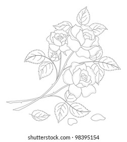 手描きのジャスミンの花のスケッチ 白黒の線付きイラスト によく似た画像 写真素材 ベクター画像 Shutterstock