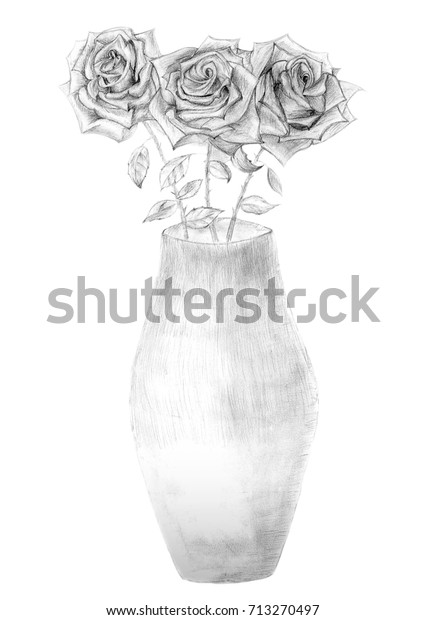 Flowers Roses Vase Drawn Pencil On Stock Illustration 713270497 ...