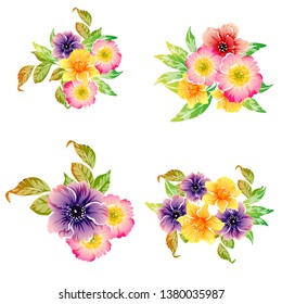 Flowers set. Collection of floral elements