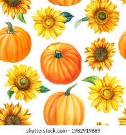 Flowers sunflowers   pumpkin white background  hand  drawn  Watercolor illustration  Seamless pattern  