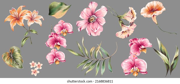 Flowers and tropical leaves colorful set of isolated elements illustration. Peony, magnolia, orchids, lily, tulip with exotic palm leafs, plants, green foliage. Grey background.