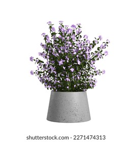Flowers used for background material