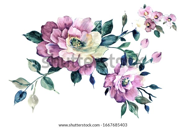 Flowers Watercolor Illustrationmanual Composition Set Watercolor Stock ...