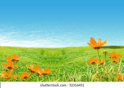 Flowery Field With Grass And Water