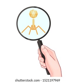 Flu Virus And Bacteriophages With Hand Holding A Magnifying Glass